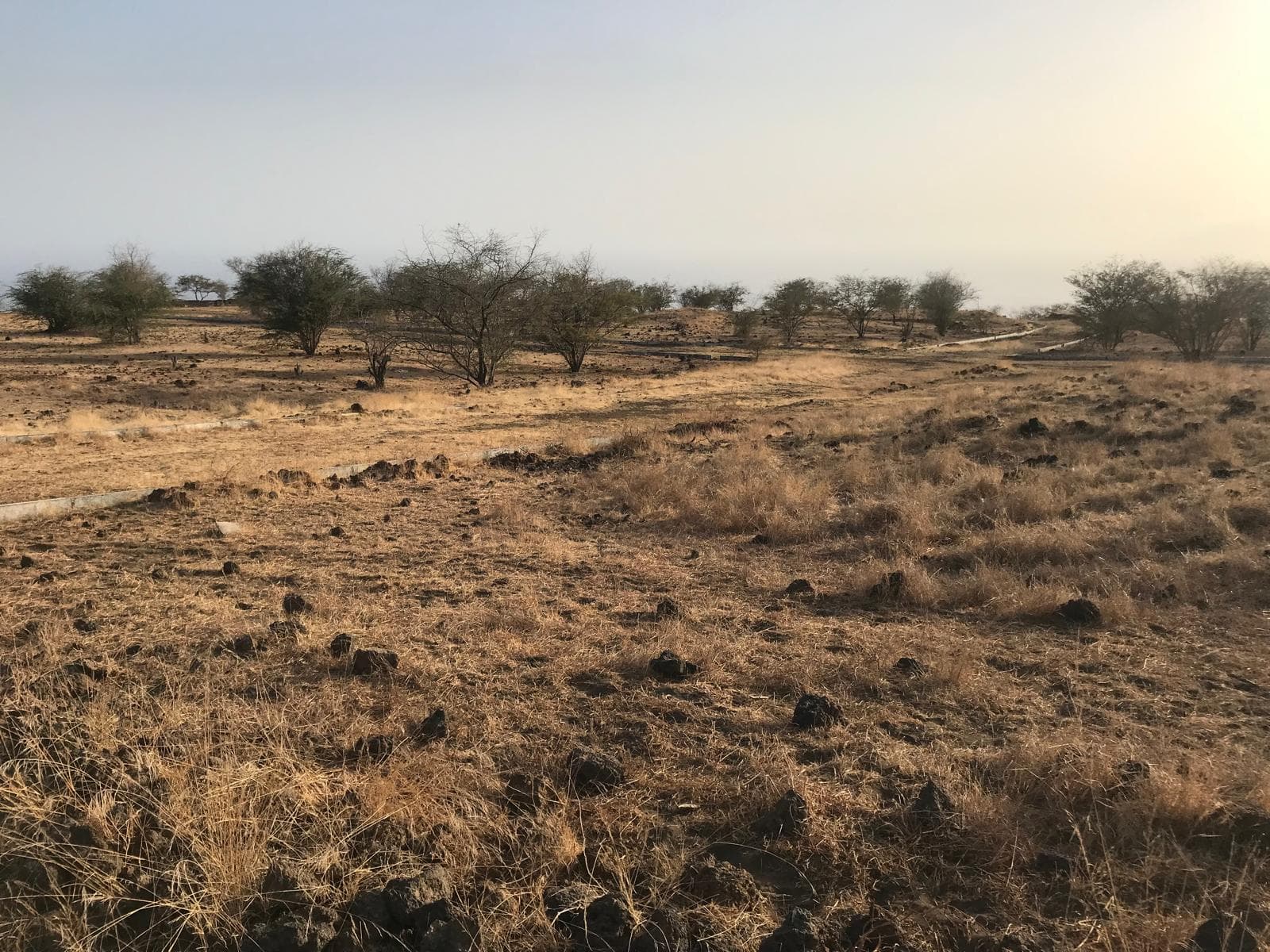 Terreno à venda em S. FILIPE, Fogo